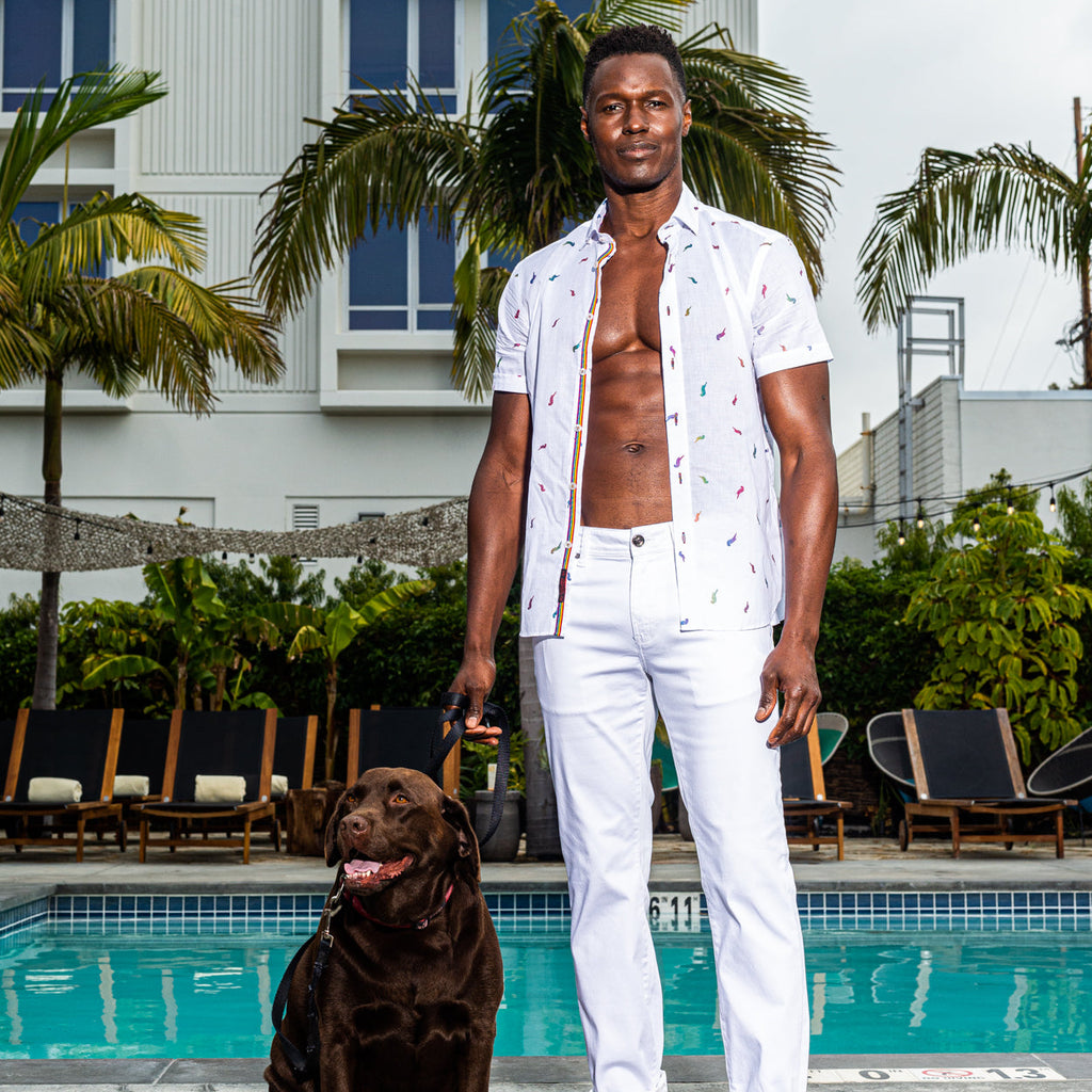 Parrot Punch Foil Short Sleeve Shirt - White Shirts Eight-X