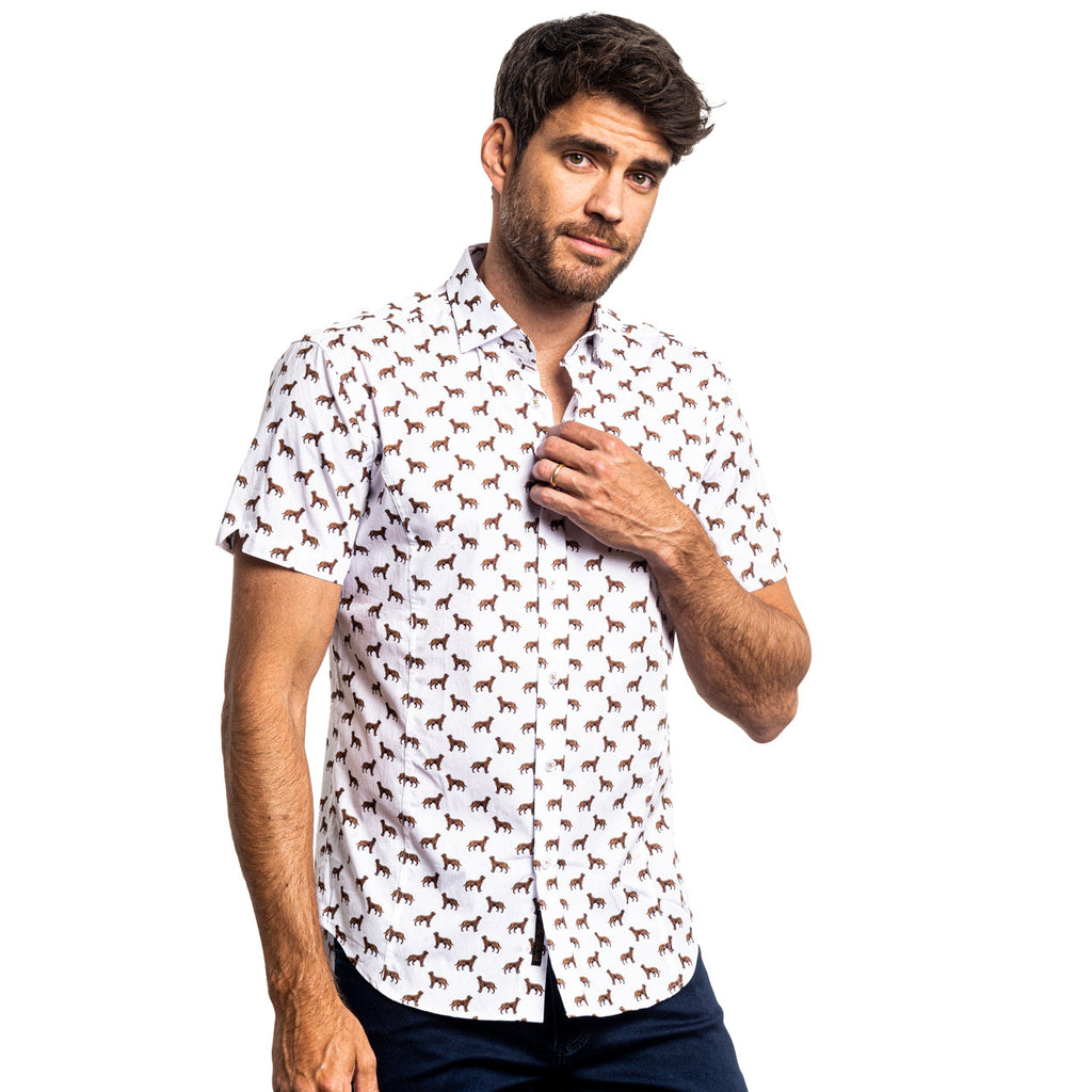 Toller Short Sleeve Button Down Shirt Shirts EightX