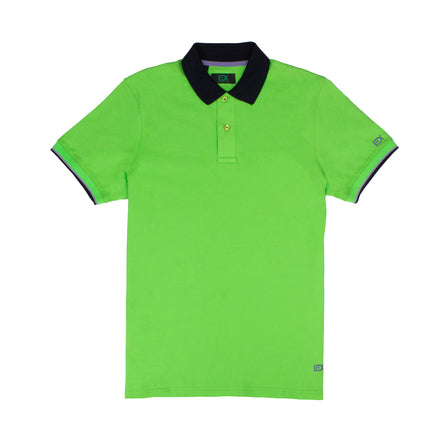 Green Polo with Double Sided Black Collar with Multi colored Stripes Shirts Eight-X