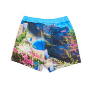 Santorini Swim Trunks Swim Wear Eight-X