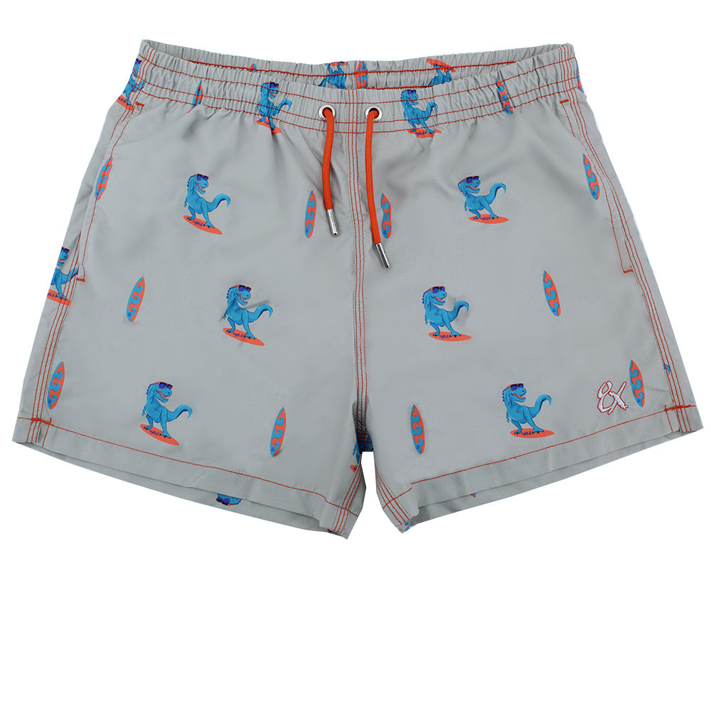 Grey Surfing T-Rex Print Swim Trunks Swim Trunks Eight-X