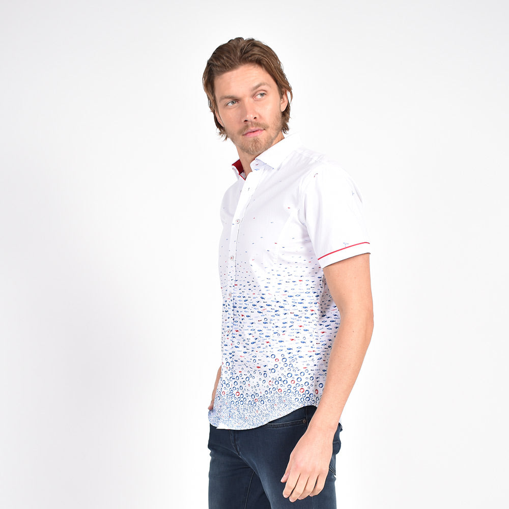 Fluttering Hummingbird and Flounder Short Sleeve Shirt Short Sleeve Button Down Eight-X   