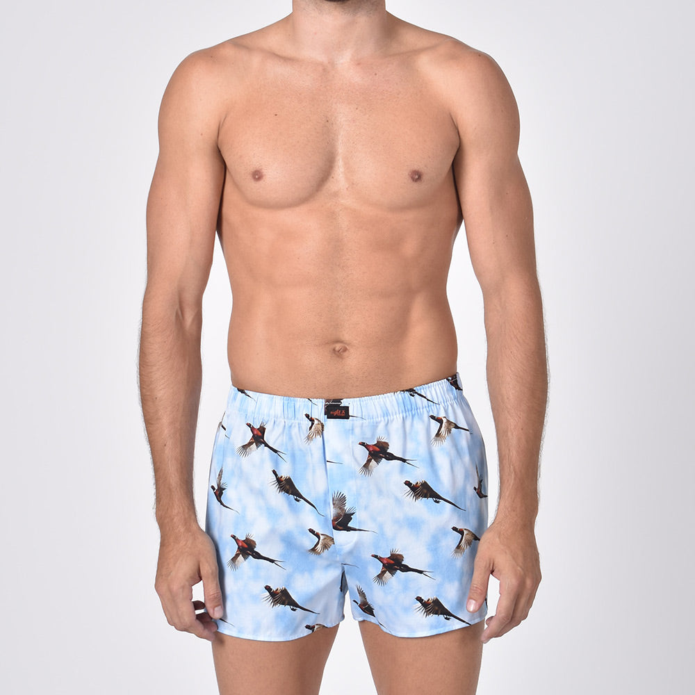 Blue Goose Print Boxers Boxers EightX   