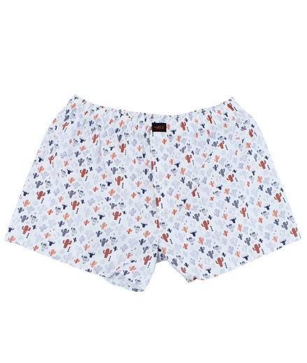 Cactus Print Boxers Boxers EightX   