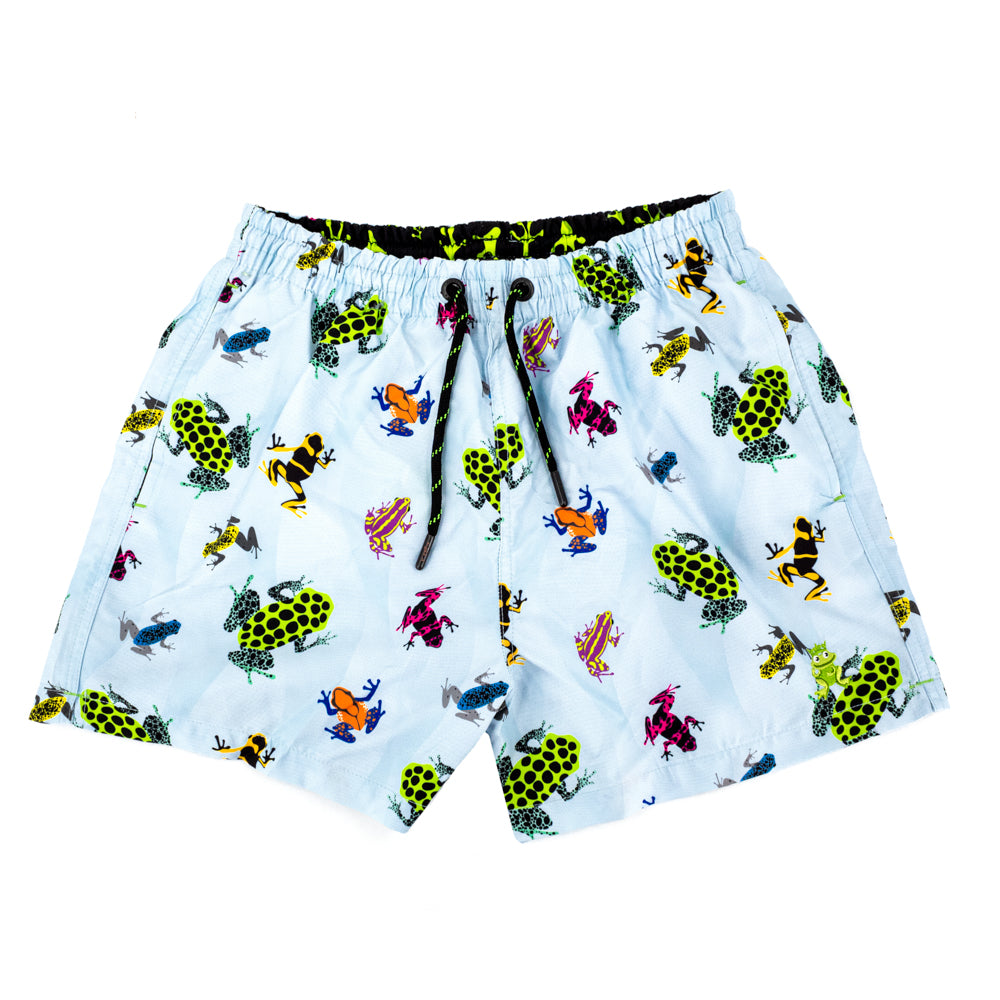 Flat Lay of Frog Print Trunks Over Light Blue.