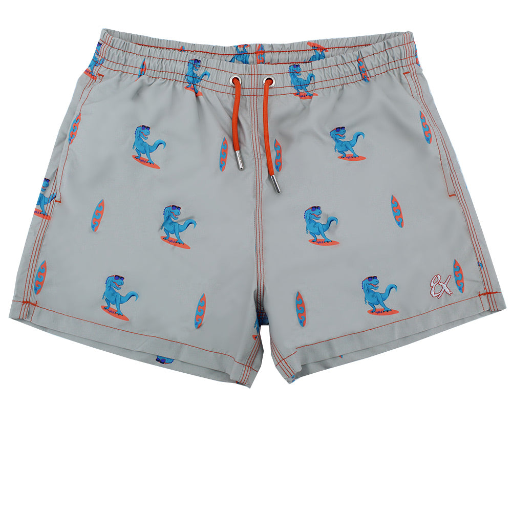 Grey Surfing T-Rex Print Swim Trunks Swim Trunks Eight-X   