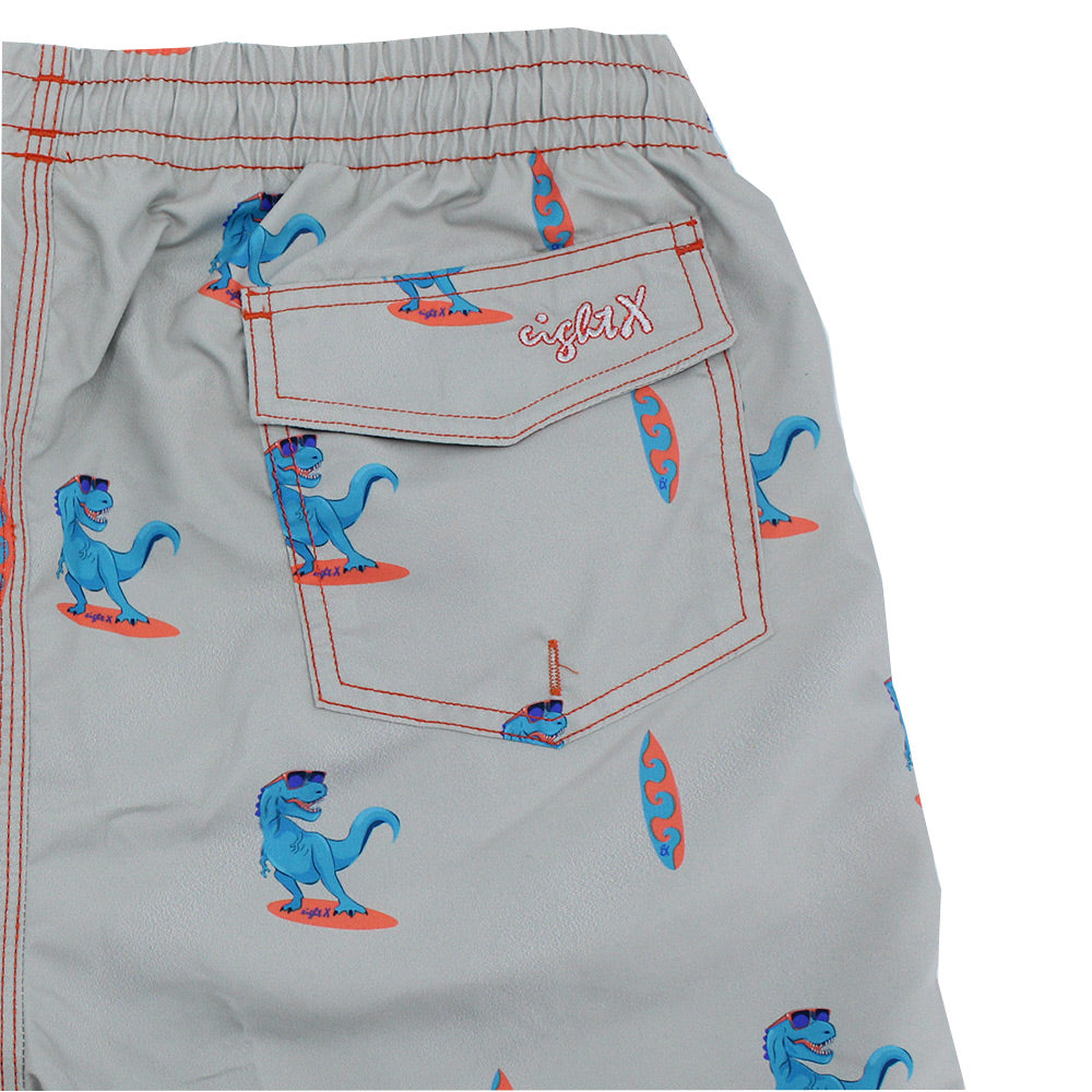 Grey Surfing T-Rex Print Swim Trunks Swim Trunks Eight-X   